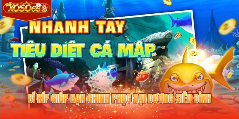 Bí kíp giúp bạn chinh phục đại dương siêu đỉnh
