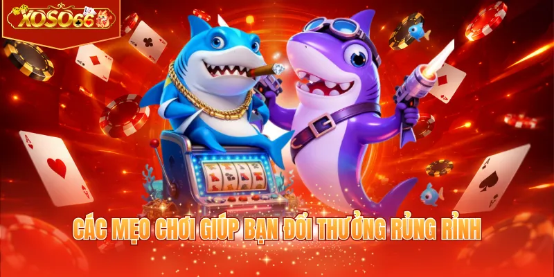 Các mẹo chơi giúp bạn đổi thưởng rủng rỉnh