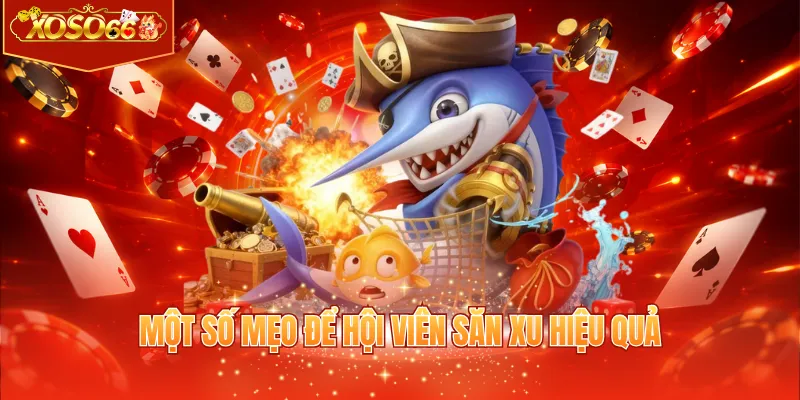 Một số mẹo để hội viên săn xu hiệu quả