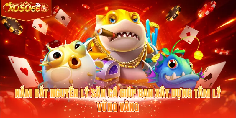 Nắm bắt nguyên lý săn cá giúp bạn xây dựng tâm lý vững vàng
