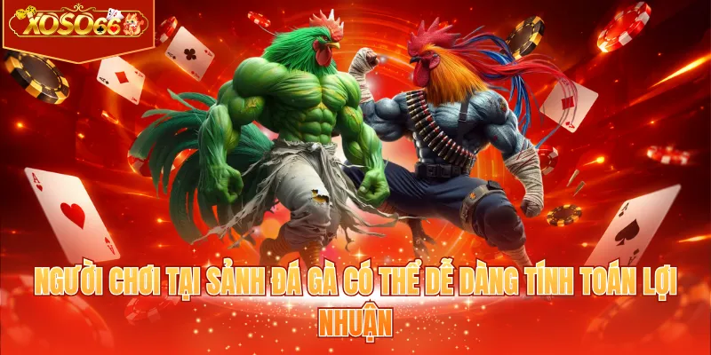 Người chơi tại sảnh đá gà có thể dễ dàng tính toán lợi nhuận
