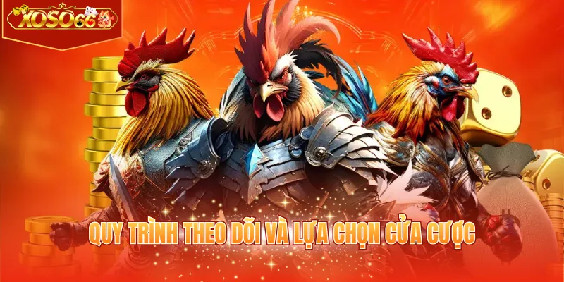 Quy trình theo dõi và lựa chọn cửa cược