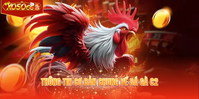 Thông tin cơ bản chung về đá gà C2