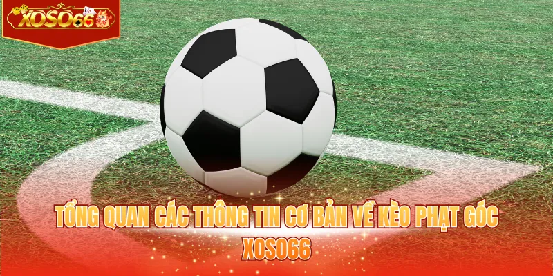 Tổng quan các thông tin cơ bản về kèo phạt góc XOSO66