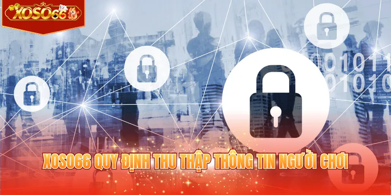 XOSO66 quy định thu thập thông tin người chơi